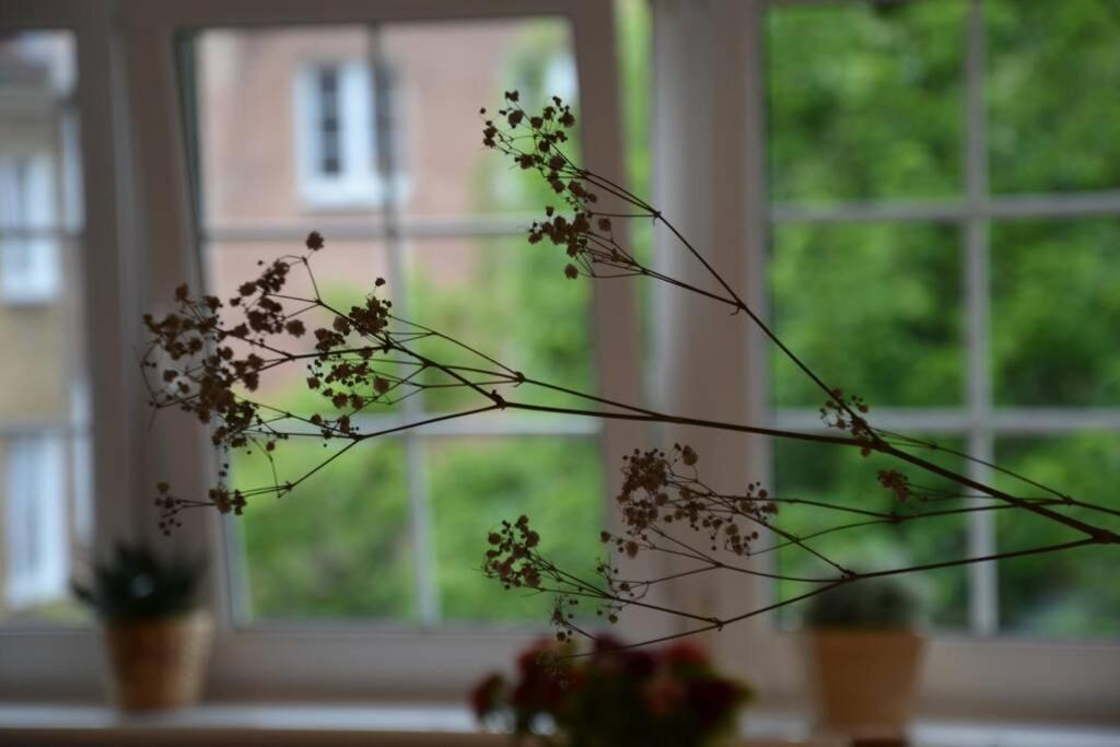 Ines Apartament Two Levels 105M2 In The Old Town Wi-Fi, Allenstein Exterior foto
